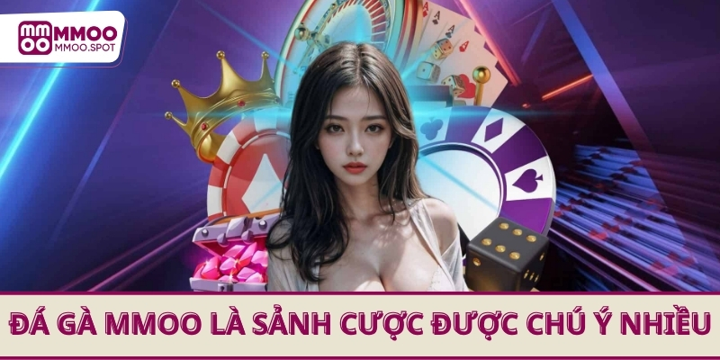 Đá gà MMOO là sảnh cược được chú ý nhiều